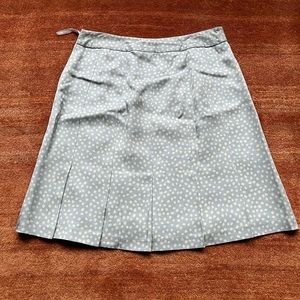 Banana Republic skirt. Light blue and cream silk pleat.
